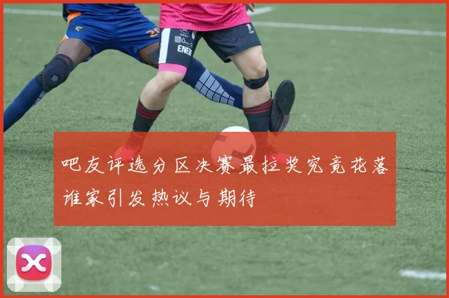 吧友评选分区决赛最拉奖究竟花落谁家引发热议与期待